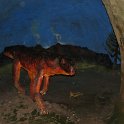 img_1455